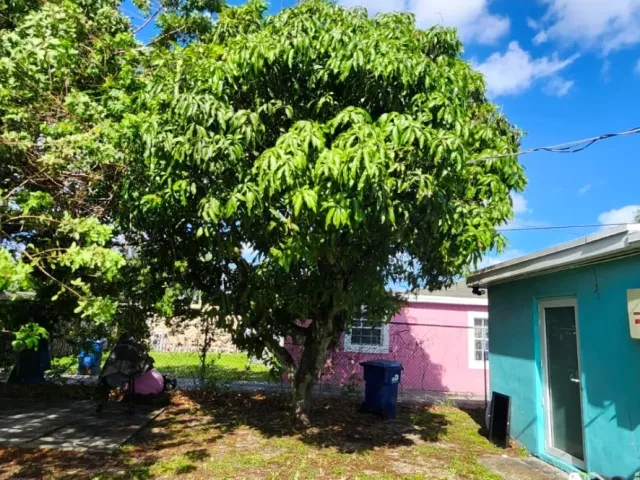 Продажа дома по адресу 2530 NW 152nd St - фото 9297499