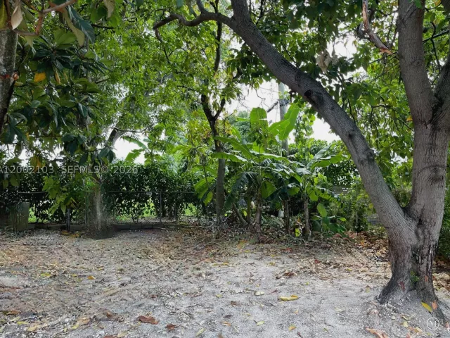 Продажа дома по адресу 10820 NE 5th Ave - фото 9383878