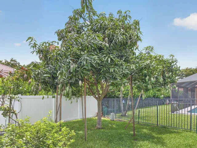 Продажа дома по адресу 2931 NW 25th Way - фото 9034814