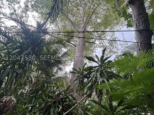 Продажа дома по адресу 8285 SW 47th St - фото 8887390