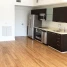 Ivy - Condo - Miami