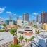 The Loft Downtown - Condo - Miami