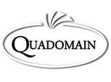 Quadomain logo